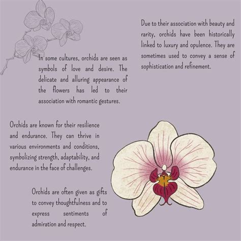 orchid meanjng|orchid meaning medical.